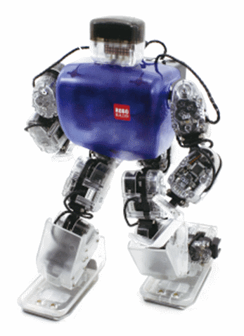 Human-robot